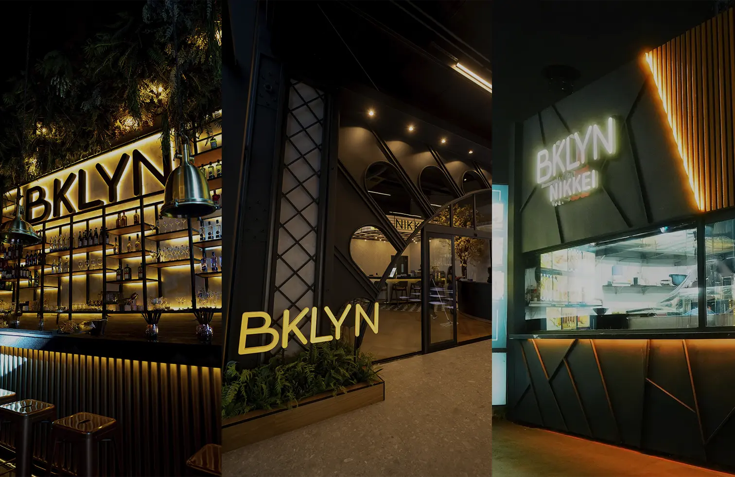 Bklyn New Zone